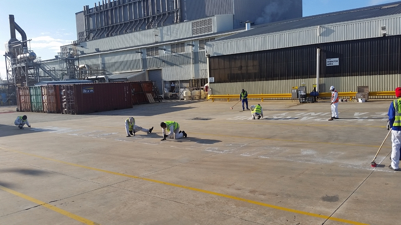 BASF - Proservices Specialist Coatings 